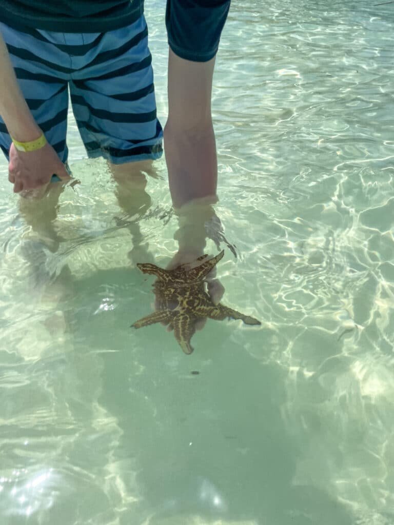 Boy holding a starfish at Star Fish Point in Grand Cayman