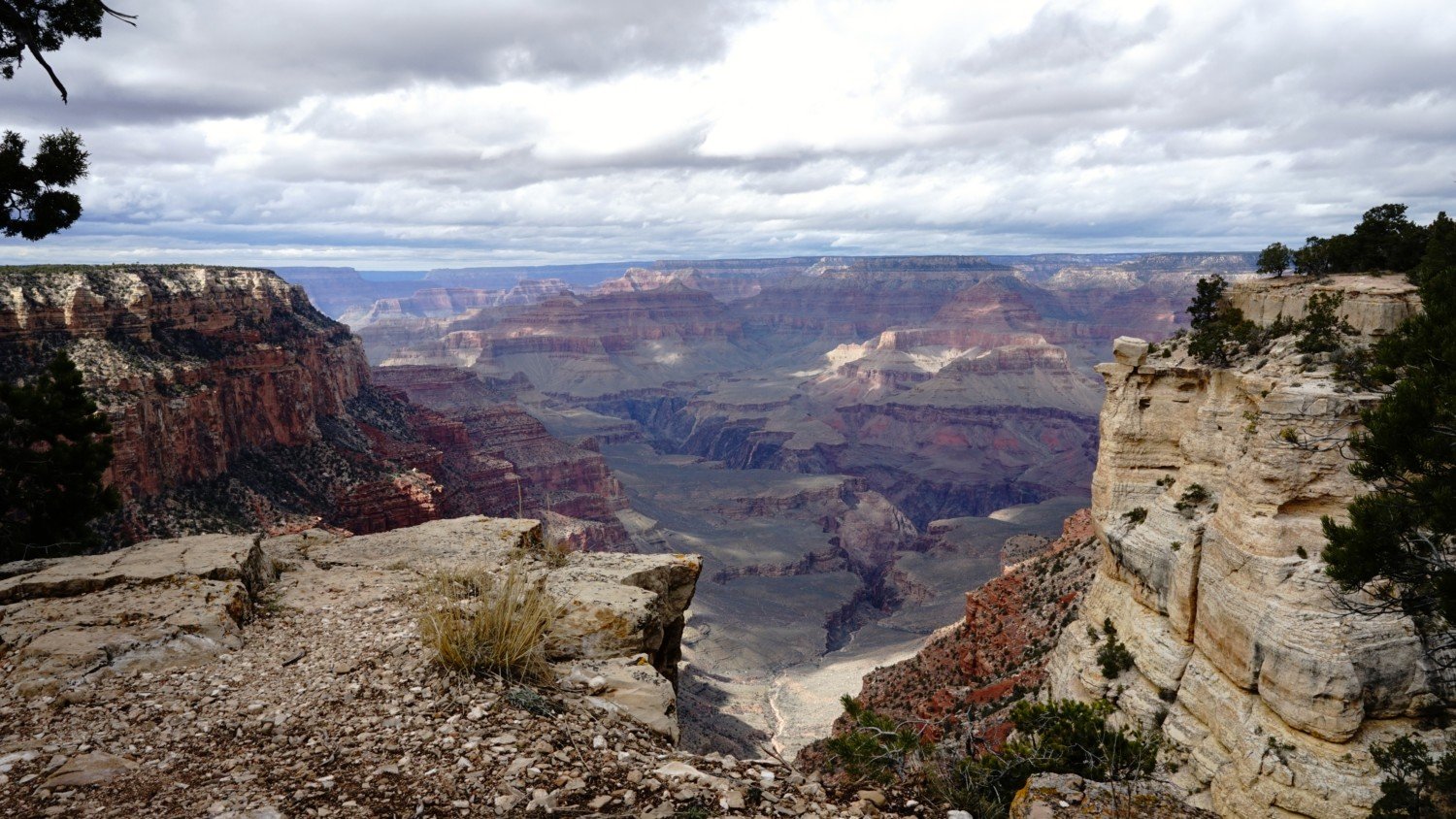 Arizona's Top Pet Friendly Attraction: The Grand Canyon | GoPetFriendly.com