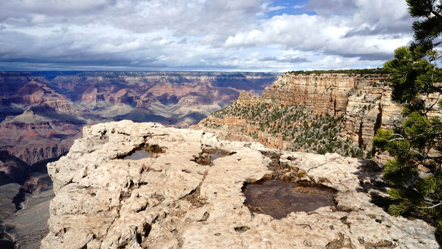 Arizona's Top Pet Friendly Attraction: The Grand Canyon | GoPetFriendly.com