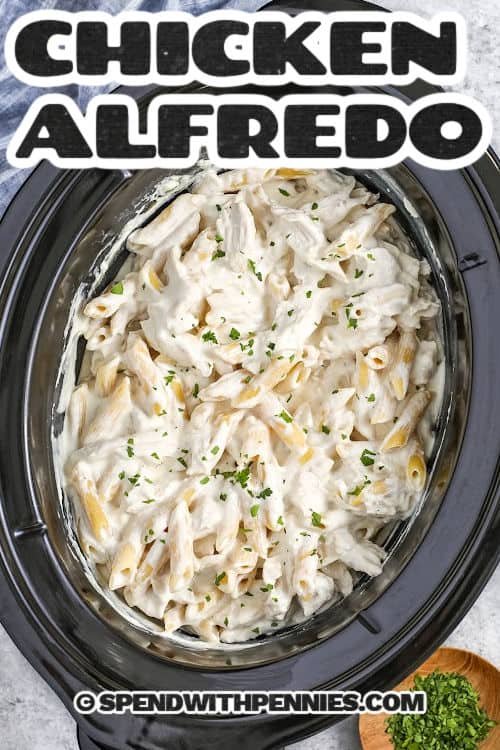 creamy Crock Pot Chicken Alfredo in the pot with a title