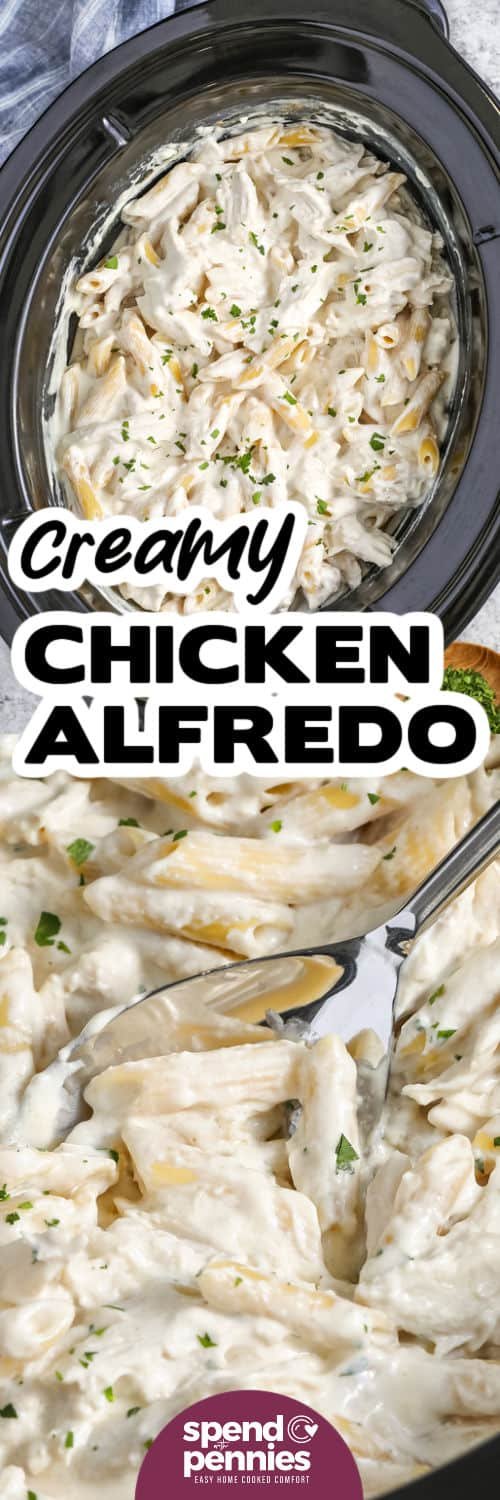 Crock Pot Chicken Alfredo in the pot and close up with a title