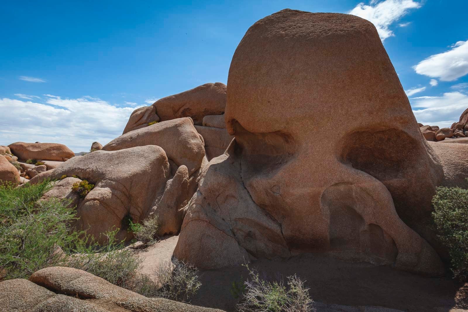 Skull Rock in Joshua Tree National Park