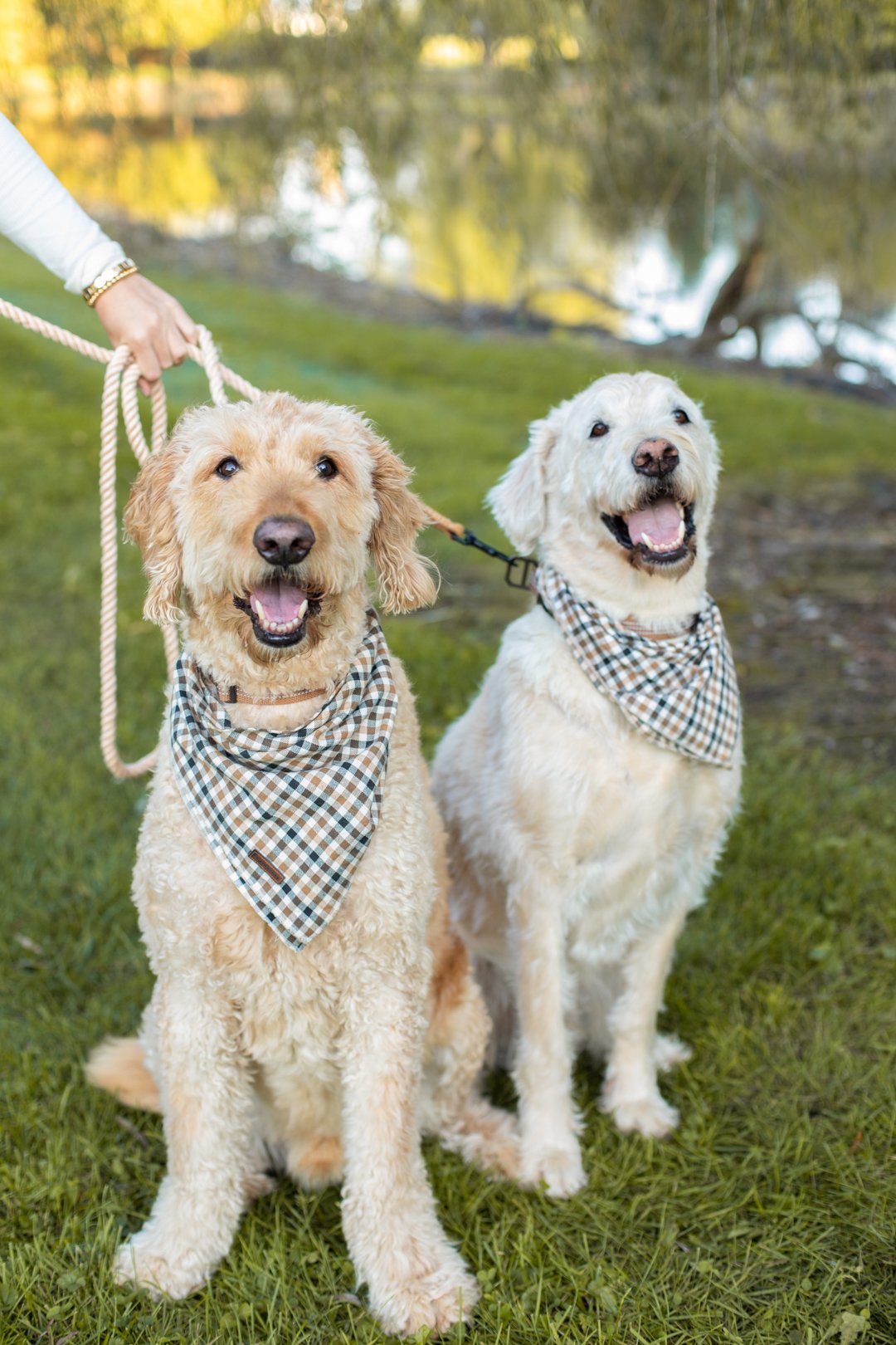 1726871899 815 What to Wear For Fall Family Photos