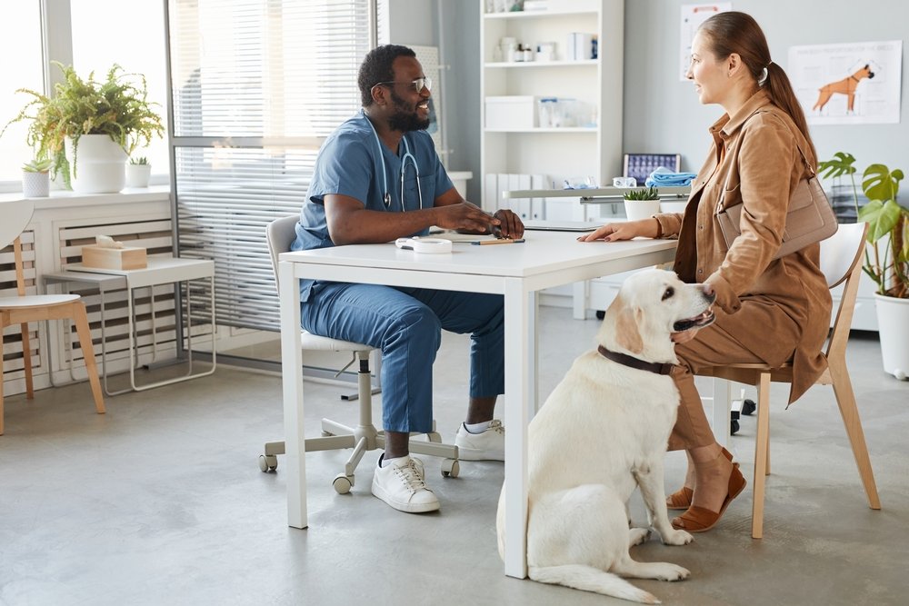 woman and labrador dog consulting with the vet