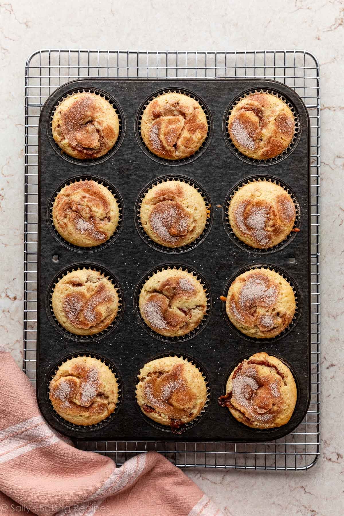 cinnamon swirled cupcakes shown baked in a cupcake pan.