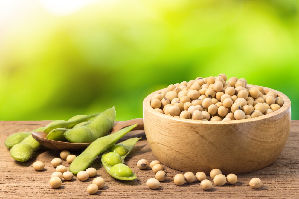 Soybean and green soy in a wooden bowl