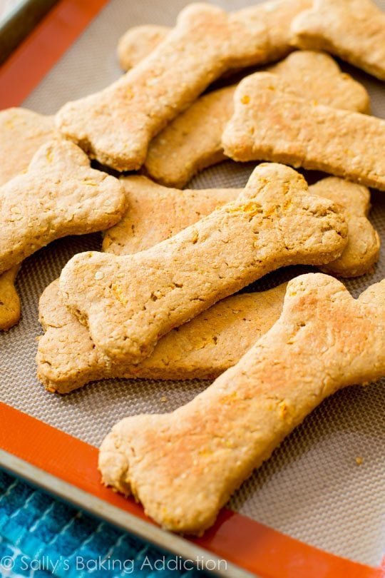 dog treats shaped like bones