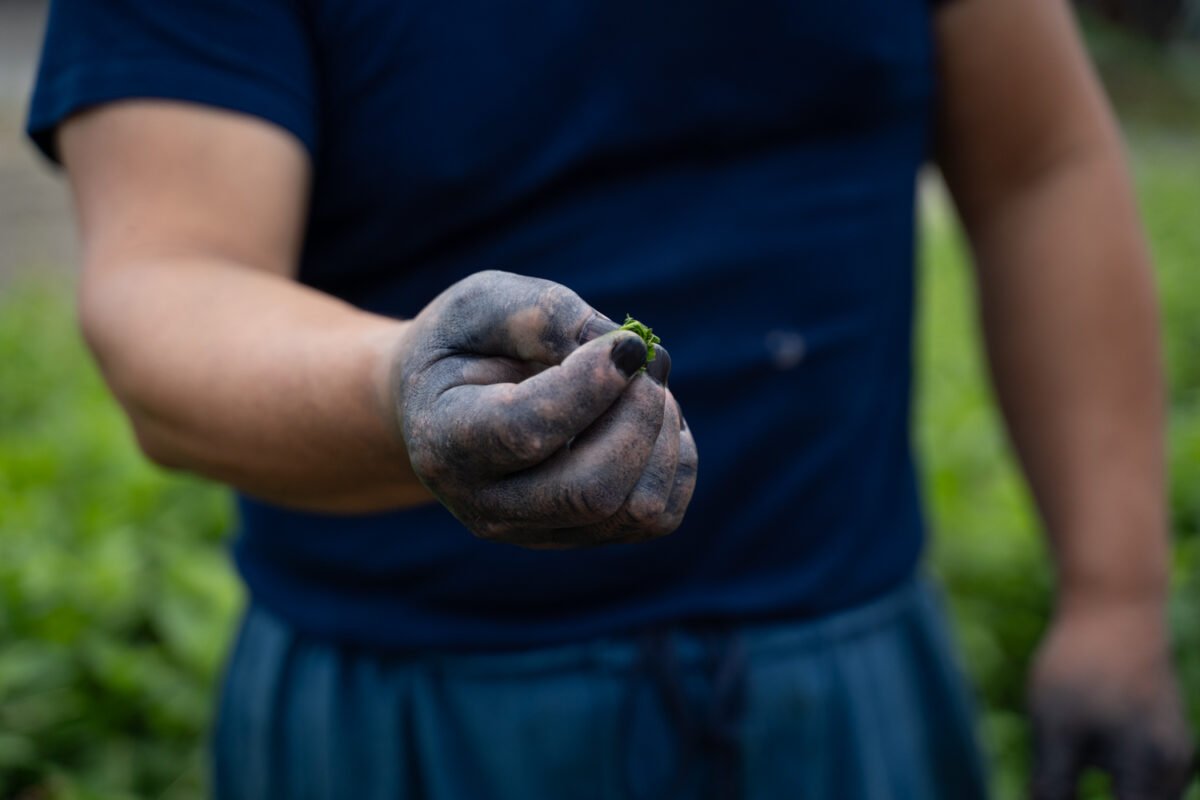 Indigo dyeing shikoku japan