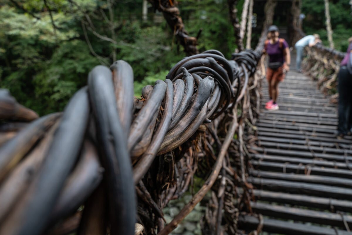 vine bridge iya valley