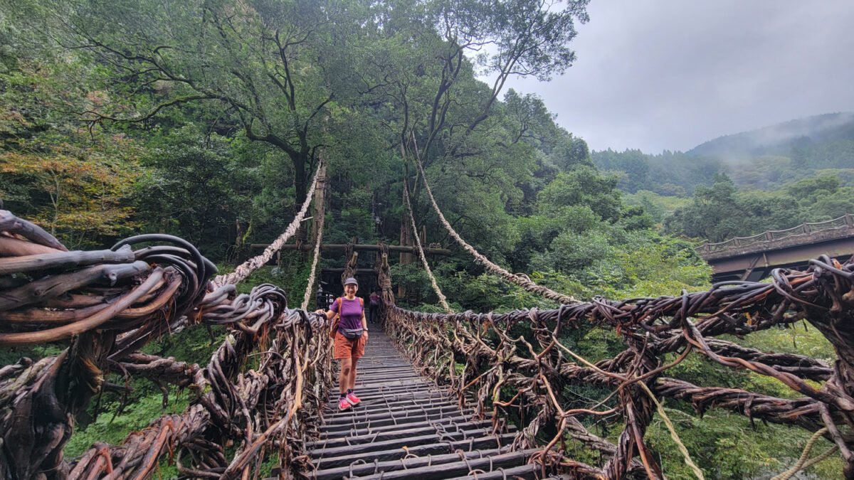 vine bridge iya valley