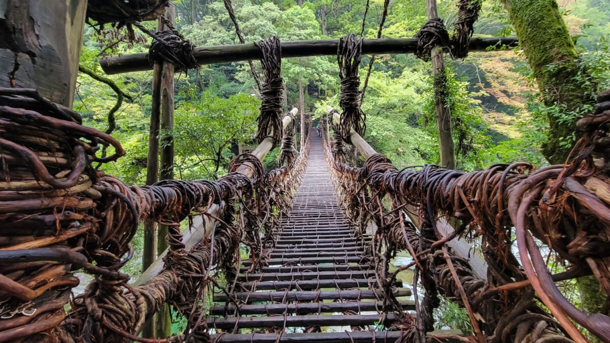 vine bridge iya valley