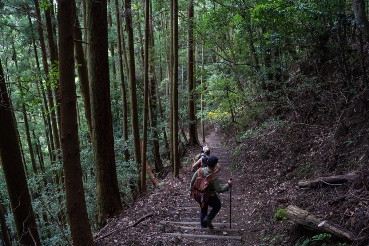 Temple 21 Tairyuji hike