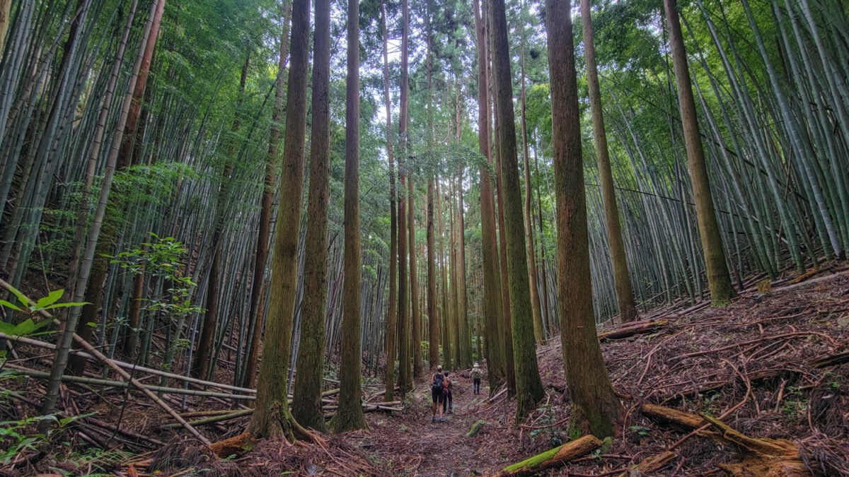 hike shikoku Temple 21 Tairyuji