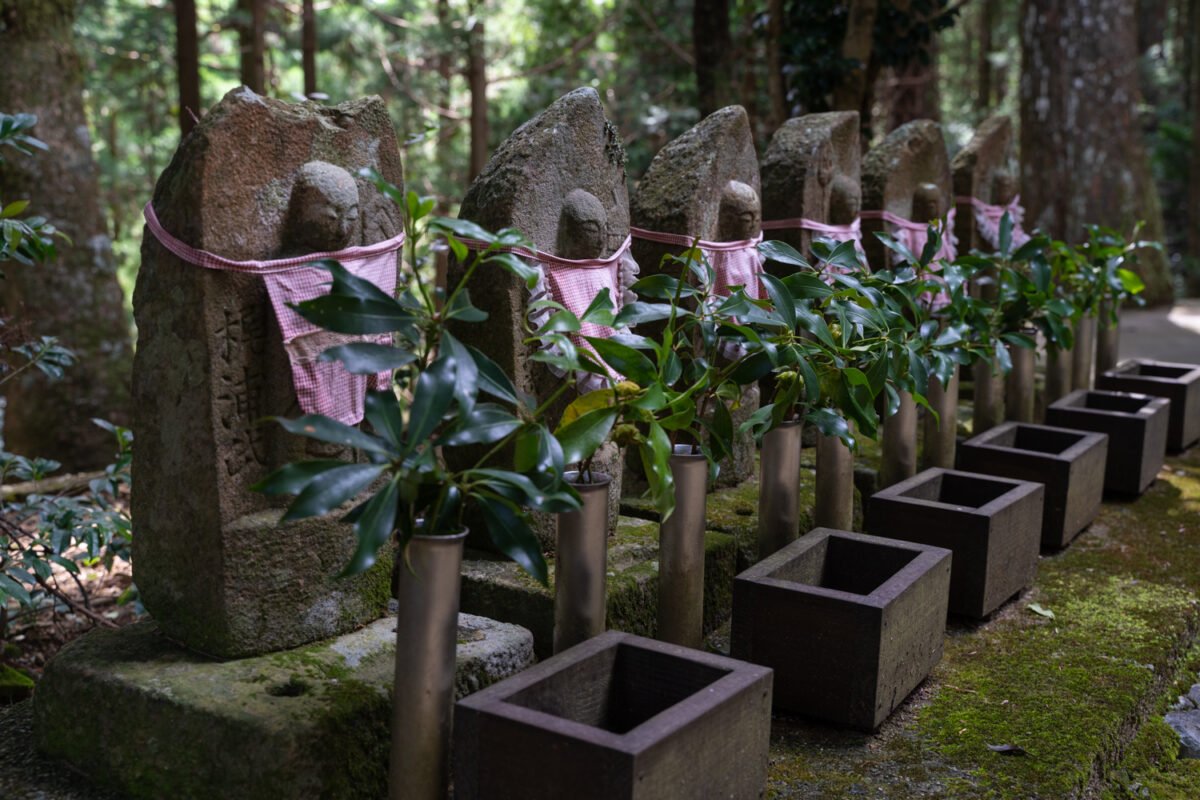 Shikoku 88 Temple pilgrimage hike